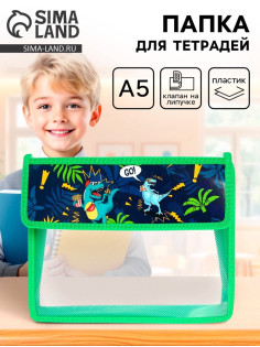Папка для тетрадей, А5, пластиковая, 23×19×5 см «Дино»