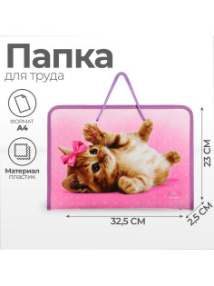 Папка для труда, А4, пластиковая, 32.5×23×2.5 см «Самая милая»