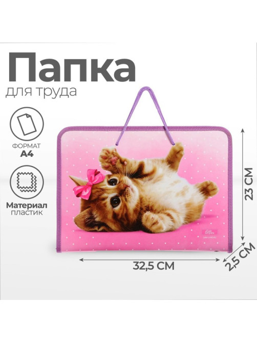 Папка для труда, А4, пластиковая, 32.5×23×2.5 см «Самая милая»