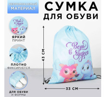 Мешок для обуви «Верь в чудеса» (болоньевый материал) 43×33 см