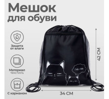 Мешок для обуви «Коты» (с карманом) 42×34 см