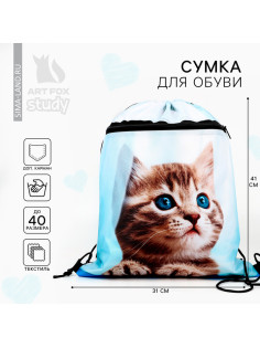 Мешок для обуви «Милый котик» (с карманом) 41×31 см