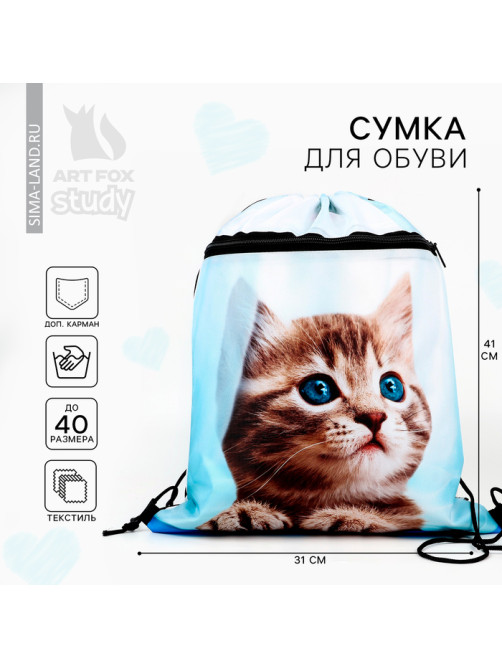 Мешок для обуви «Милый котик» (с карманом) 41×31 см