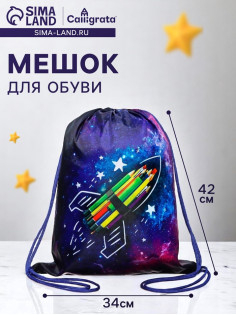 Мешок для обуви «Вперёд к знаниям» (полиэстер, плотность 210D) 42×34 см