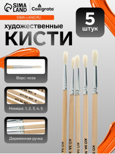 Набор кистей для рисования, коза, 5 штук: № 1, 2, 3, 4, 5, круглые, деревянная ручка, международный размер