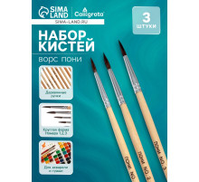 Набор кистей для рисования, пони, 3 штуки: № 1, 2, 3, круглые, деревянная ручка, международный размер