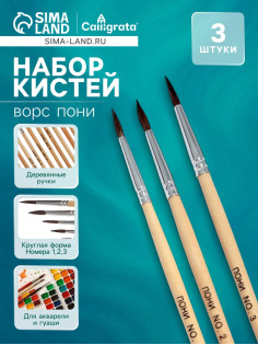 Набор кистей для рисования, пони, 3 штуки: № 1, 2, 3, круглые, деревянная ручка, международный размер
