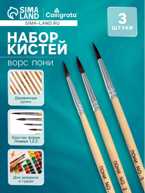 Набор кистей для рисования, пони, 3 штуки: № 1, 2, 3, круглые, деревянная ручка, международный размер