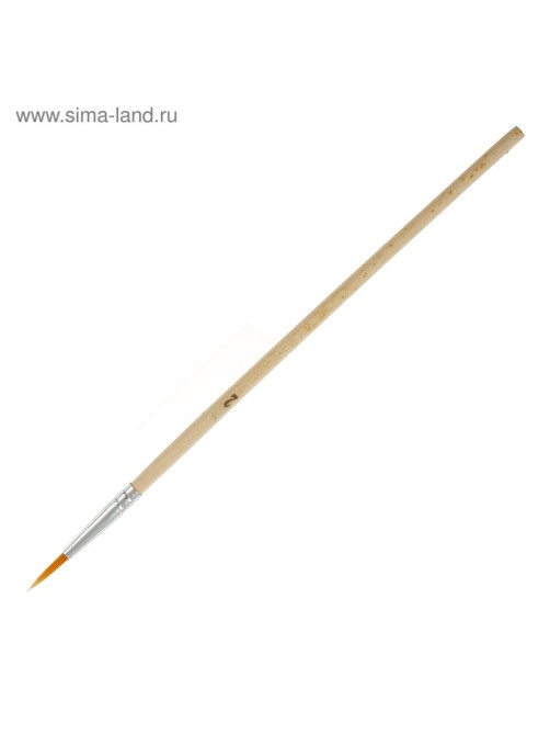 Набор кистей для рисования, синтетика, 10 штук: № 1, 2, 3, 4, 5, 6, 7, 8, 9, 10, круглые, деревянная ручка, международный размер