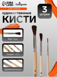 Набор кистей для рисования, пони, 3 штуки: №: 1, 3, 5, Calligrata, круглые, деревянная ручка, в пакете