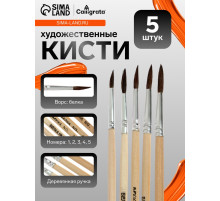 Набор кистей для рисования, белка, 5 штук: № 1, 2, 3, 4, 5, круглые, деревянная ручка, международный размер