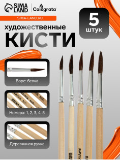 Набор кистей для рисования, белка, 5 штук: № 1, 2, 3, 4, 5, круглые, деревянная ручка, международный размер