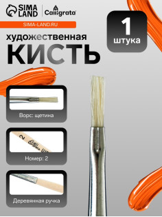 Кисть для рисования, щетина, № 2, Calligrata, плоская, деревянная ручка