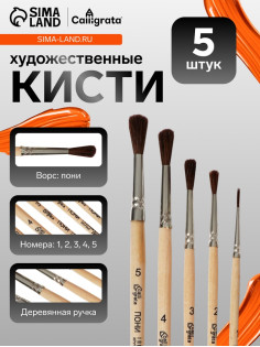 Набор кистей для рисования, пони, 5 штук: №: 1, 2, 3, 4, 5, Calligrata, круглые, деревянная ручка, в пенале