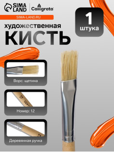 Кисть для рисования, щетина, № 12, плоская, деревянная ручка, международный размер