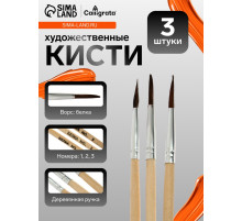 Набор кистей для рисования, белка, 3 штуки: № 1, 2, 3, круглые, деревянная ручка, международный размер