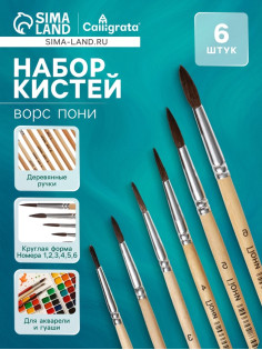 Набор кистей для рисования, пони, 6 штук: № 1, 2, 3, 4, 5, 6, круглые, деревянная ручка, международный размер