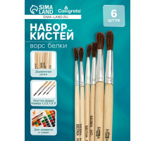 Набор кистей для рисования, белка, 6 штук: № 1, 3, 5, 7, 9, 11, круглые, деревянная ручка, международный размер