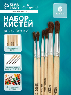 Набор кистей для рисования, белка, 6 штук: № 1, 3, 5, 7, 9, 11, круглые, деревянная ручка, международный размер