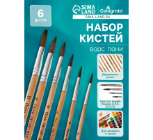 Набор кистей для рисования, пони, 6 штук: № 2, 4, 6, 8, 10, 12, круглые, деревянная ручка, международный размер