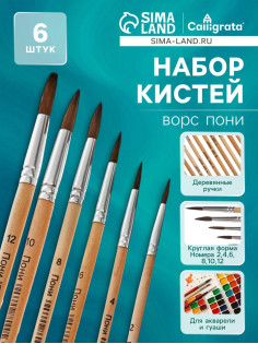 Набор кистей для рисования, пони, 6 штук: № 2, 4, 6, 8, 10, 12, круглые, деревянная ручка, международный размер