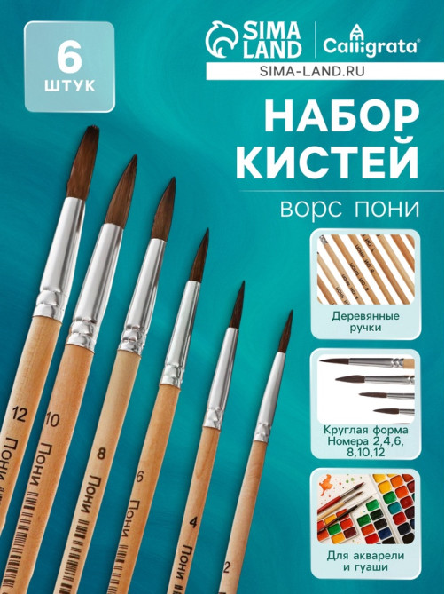 Набор кистей для рисования, пони, 6 штук: № 2, 4, 6, 8, 10, 12, круглые, деревянная ручка, международный размер