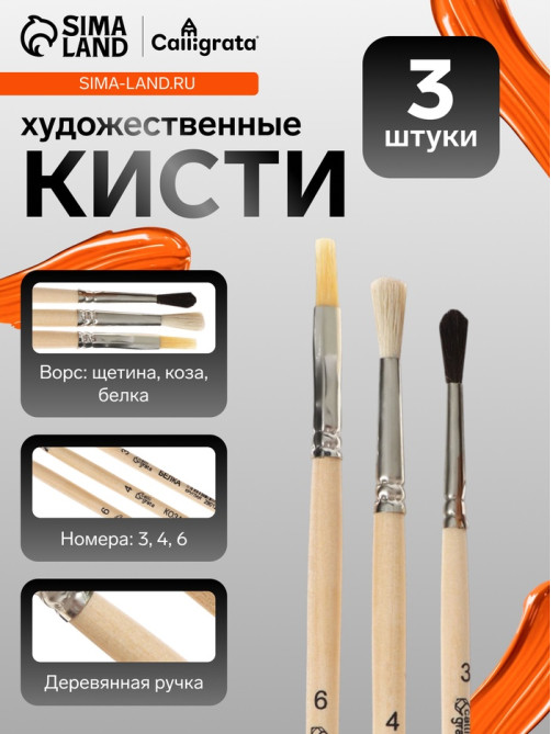 Набор кистей для рисования, белка, коза, щетина, 3 штуки: № 3, № 4 (круглые), № 6 (плоская), Calligrata, круглые, плоская, деревянная ручка, в пакете