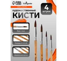 Набор кистей для рисования, пони, 4 штуки: № 2, 4, 6, 8, круглые, деревянная ручка, международный размер