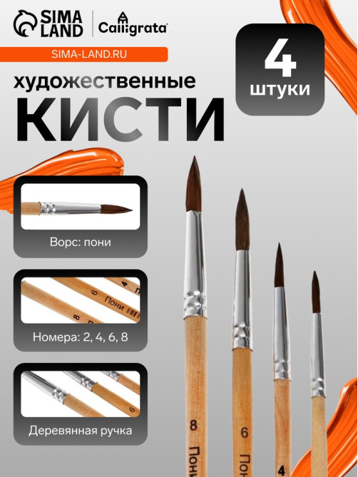 Набор кистей для рисования, пони, 4 штуки: № 2, 4, 6, 8, круглые, деревянная ручка, международный размер