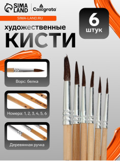 Набор кистей для рисования, белка, 6 штук: № 1, 2, 3, 4, 5, 6, круглые, деревянная ручка, международный размер