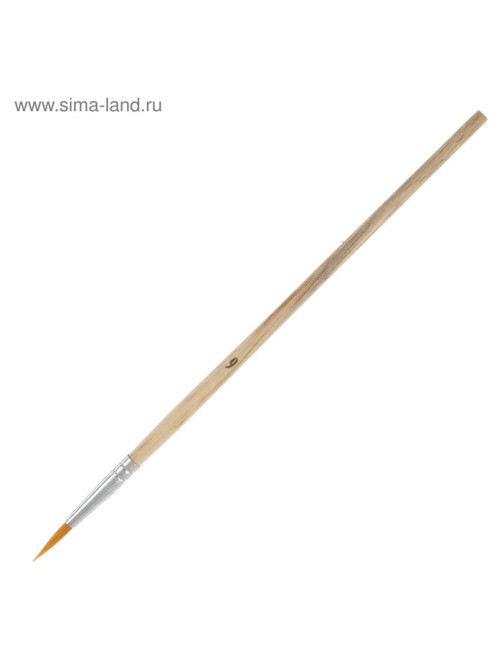Набор кистей для рисования, синтетика, 10 штук: № 1, 2, 3, 4, 5, 6, 7, 8, 9, 10, круглые, деревянная ручка, международный размер