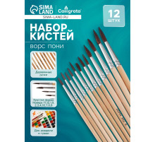 Набор кистей для рисования, пони, 12 штук: № 1, 2, 3, 4, 5, 6, 7, 8, 9, 10, 11, 12, круглые, деревянная ручка, международный размер