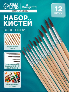 Набор кистей для рисования, пони, 12 штук: № 1, 2, 3, 4, 5, 6, 7, 8, 9, 10, 11, 12, круглые, деревянная ручка, международный размер