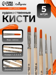 Набор кистей для рисования, синтетика, 5 штук: №: 1, 2, 5 (круглые), № 6, 8 (плоские), Calligrata, круглые, плоские, деревянная ручка, в пакете