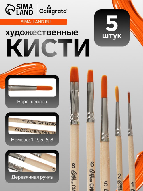 Набор кистей для рисования, синтетика, 5 штук: №: 1, 2, 5 (круглые), № 6, 8 (плоские), Calligrata, круглые, плоские, деревянная ручка, в пакете