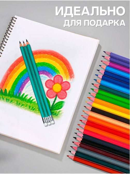 Карандаши Calligrata, цветные, 24 цвета, эконом, шестигранные, пластиковые, пенал-футляр и 3 чернографитных карандаша с ластиком в ПОДАРОК, МИКС