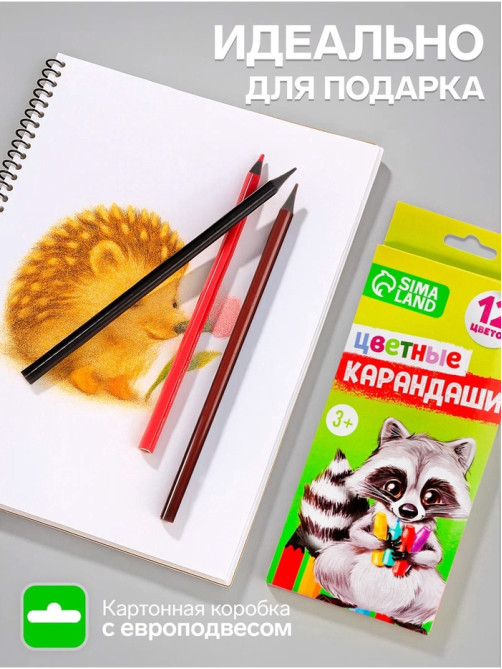 Карандаши Calligrata цветные заточенные, 12 цветов, пластиковые, в картонной коробке