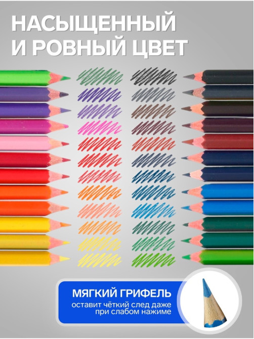 Карандаши Calligrata, цветные, 24 цвета, эконом, шестигранные, пластиковые