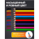 Карандаши цветные, 12 цветов, Calligrata TOP, шестигранные, пластиковые