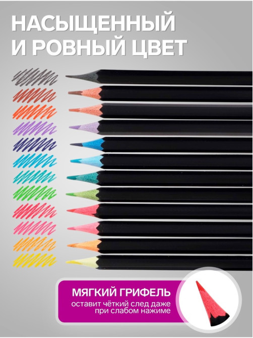 Карандаши Calligrata «Чёрная серия», цветные, 12 цветов, шестигранные, пластиковые