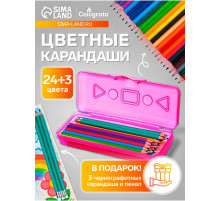 Карандаши Calligrata, цветные, 24 цвета, эконом, шестигранные, пластиковые, пенал-футляр и 3 чернографитных карандаша с ластиком в ПОДАРОК, МИКС