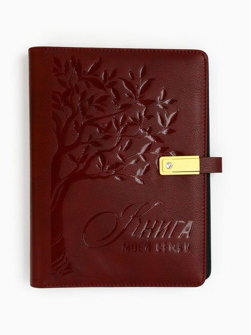 Родословная книга со встроенной флешкой 16 Gb «Книга всей семьи», 17.5×23 см