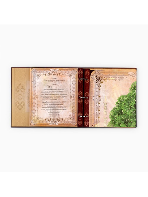 Родословная книга с рамкой под фото «Семейная летопись», 22.5×23.7 см
