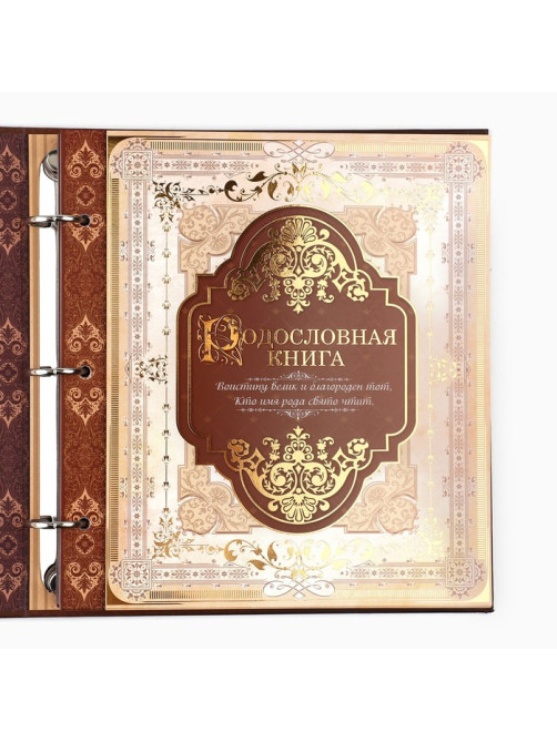 Родословная книга с рамкой под фото «Семейная», 21.5×23.7 см