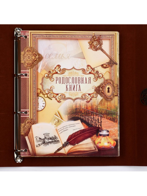 Родословная книга «Наш род», 56 листов, коричневый, 35×23.5 см