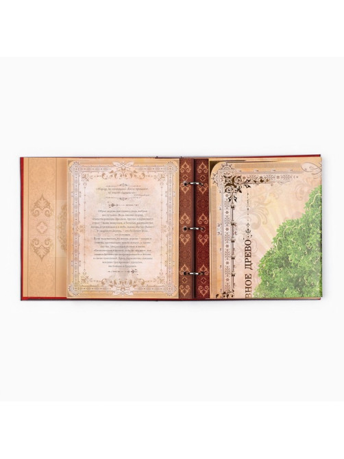 Родословная книга с рамкой под фото «Семейная книга», 50 листов, 21.5×23.7 см