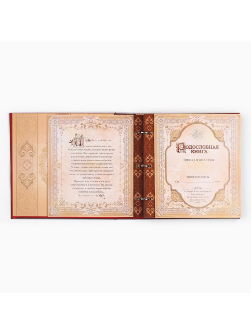 Родословная книга с рамкой под фото «Семейная книга», 50 листов, 21.5×23.7 см