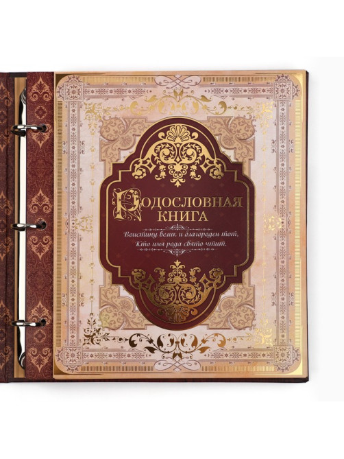 Родословная книга с рамкой под фото «Родословная книга», под дерево, 50 листов, 21.5×23.7 см