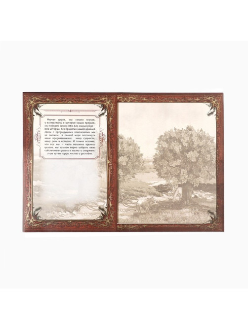 Родословная книга в шкатулке «Древо семьи», 56 листов, 20×26 см