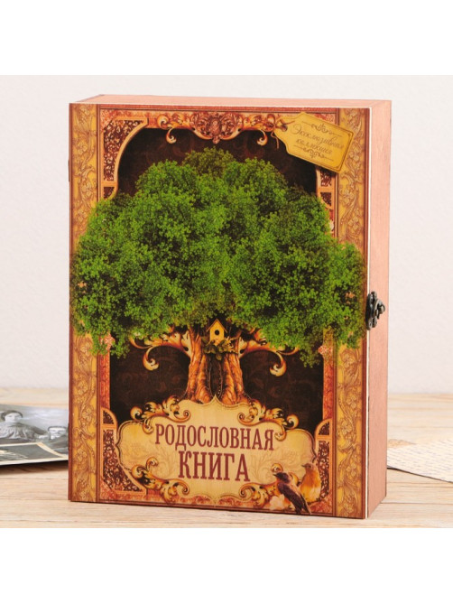 Родословная книга в шкатулке «Древо жизни», 56 листов, 20×26 см